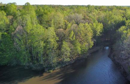 Peaceful & Spacious Modern Home - Lake Views! - Foto 34