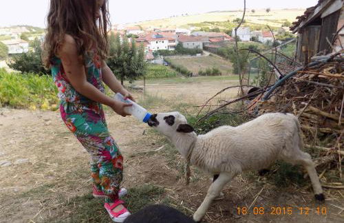 Casarao dos Reis - Foto 18