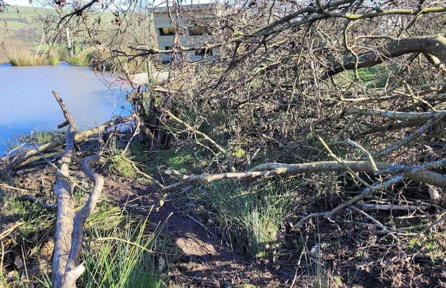 Eco Accommodation Cornflower Holiday - Foto 31