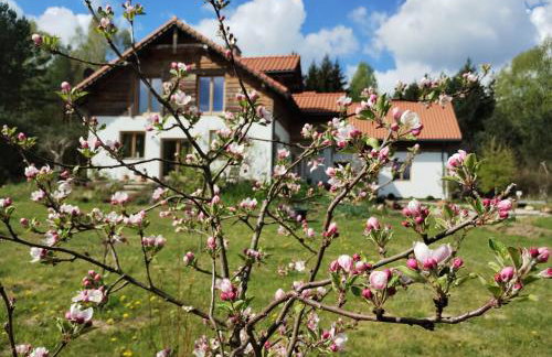 Forreset - leśny reset - Foto 7