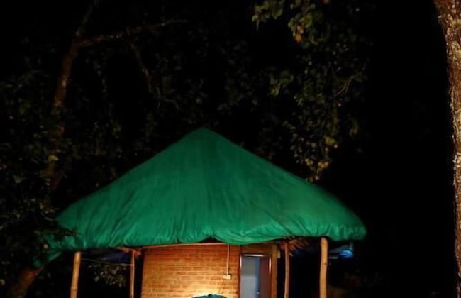 The Pear County - Foto 42