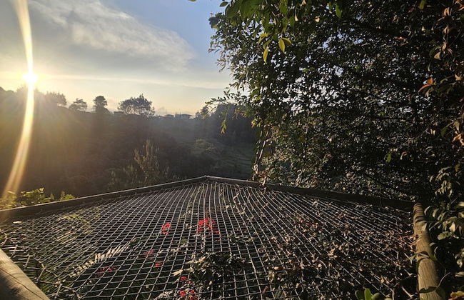 finca hotel zona 7 - Foto 66