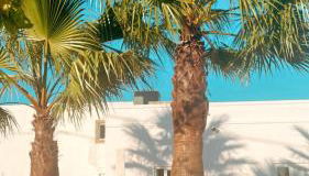 La Quinta da Liberdade - Ferme de charme en Algarve - Foto 3