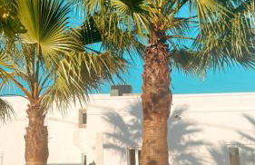 La Quinta da Liberdade - Ferme de charme en Algarve - Foto 3