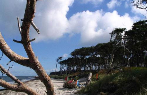 Summer freshness Comfortable holiday residence - Foto 40