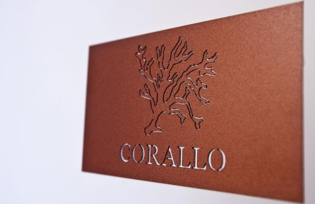 Salamureci - Foto 40