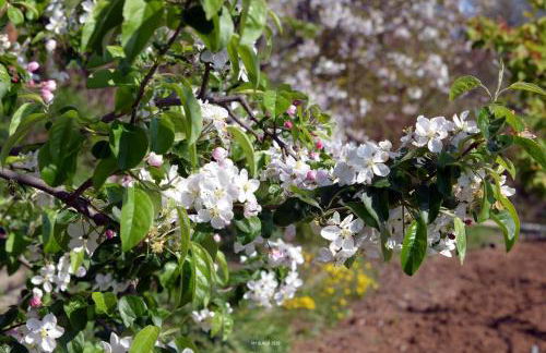 Il Casale degli Ulivi - Foto 58
