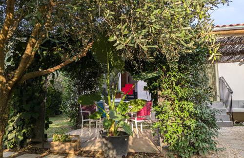 La Maison sous l'olivier - Foto 1