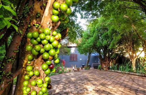 Suítes no Quintal - Foto 75