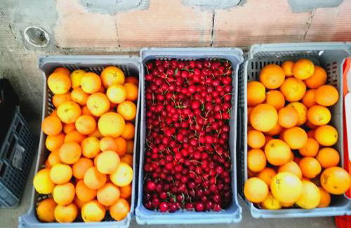 Casa Do Palheiro - Photo 63