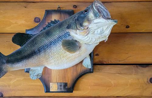 Private Dock and Game Room! Lake Hartwell Retreat - Foto 19