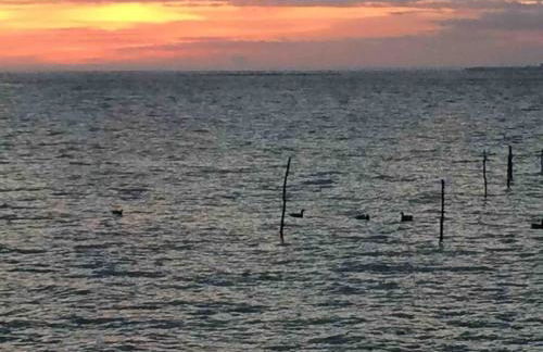 Deux studios bois terrasse jardin bassin et océan - Foto 41