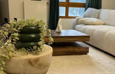 PARIS CDG Superbe appartement en résidence - Foto 10