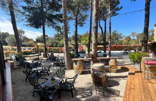 Domaine Des Mimosas - Foto 17