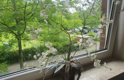 Mövenschiss - Foto 9