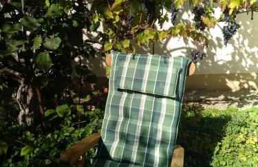 Kakteengarten - Foto 6