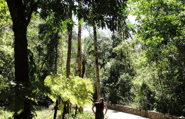 HOTEL CHALÉS ITIQUIRA - Photo 55