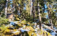 Schicke Ferien Wohnung mit tollem Ausblick in Schwarzwald. - Foto 30