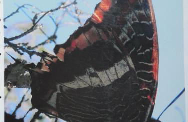 Turismo Rural Macieira Brava - Foto 33