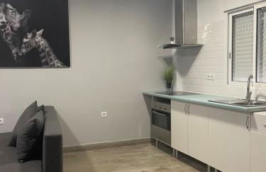 apartamentos Bandera - Foto 6