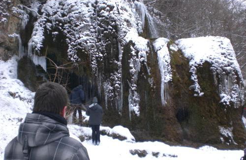 Ferienwohnungen Blum - Foto 40