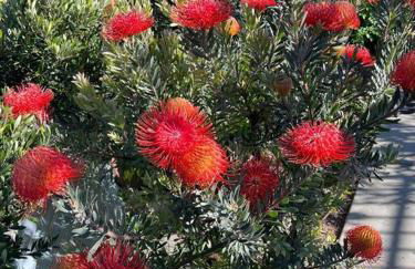 Goarges Tiny Home! - Foto 14