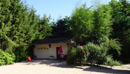 Gite des Orchidées - Foto 2