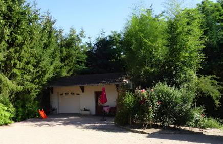 Gite des Orchidées - Foto 2