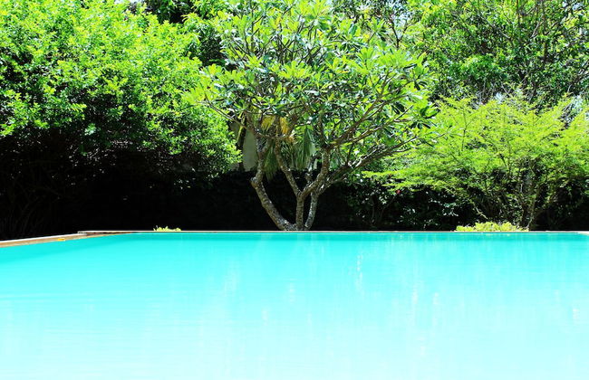 City Hub Lagoon - Photo 5