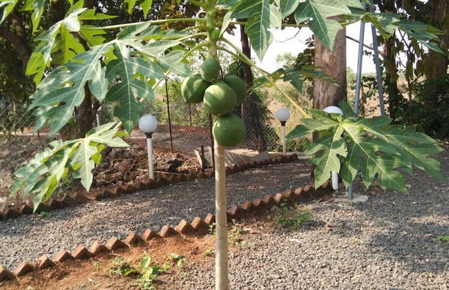 Mesmerising Farm Stay in Chalets Near Mumbai and Pune- Create Memories - Foto 24