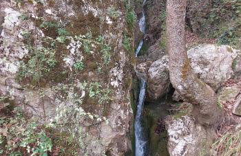 Ipati Forest Chalet - Foto 59