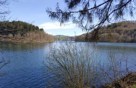 Panoramahaus Sauerland - Foto 34