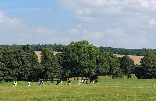 Stilvolle Ferienwohnung im Eichsfeld - Foto 35