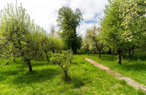 Lake-view Apartment in Klein Pravtshagen With Garden - Foto 28