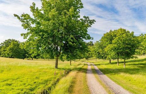 Historic 2 bed gatehouse in private parkland - Foto 19