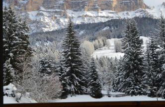 Ciasa Andy - Foto 16