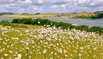 Sonnige FeWo in Klein Zicker _ nur - Foto 4