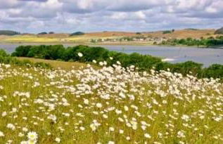 Sonnige FeWo in Klein Zicker _ nur - Foto 4