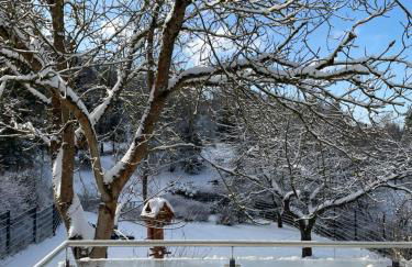 Bergchalet Löwenzahn - Foto 26