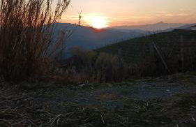 Beautiful private house among the Moscato vineyards - Foto 8