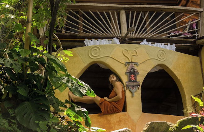 Sol de minca - Photo 64