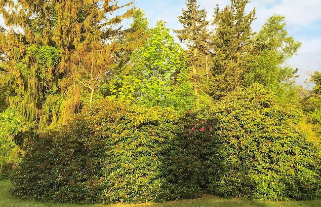 Luxury Retreat in Liseleje - By Traum Ferienwohnungen - Foto 34