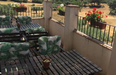 Casa Rural Finca Flores Amarillas - Foto 37