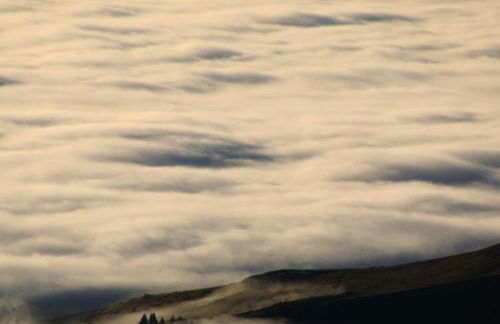 L'Esprit du Bois - Foto 32