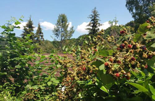 Ferienhaus Baederleiblick - Foto 14