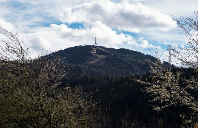 Apartament Sun & Snow Szkolna z widokiem na skocznię - Foto 15