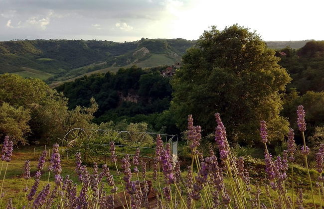 Il Poggio Dell'Artilla - Foto 30