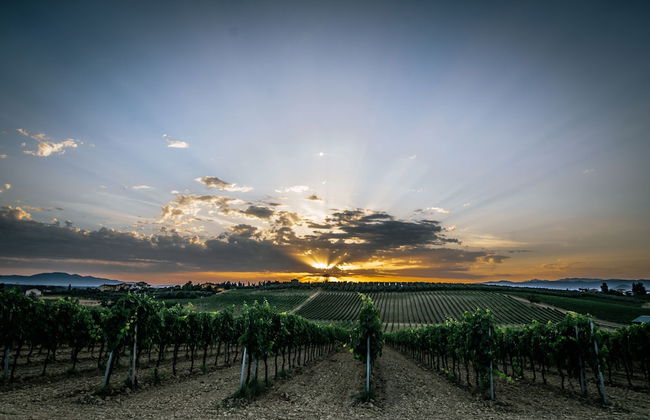 Agriturismo Spazzavento - Photo 43