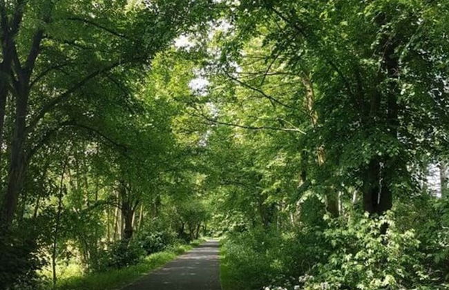 Cosy Apartment in Schmogrow - Foto 14