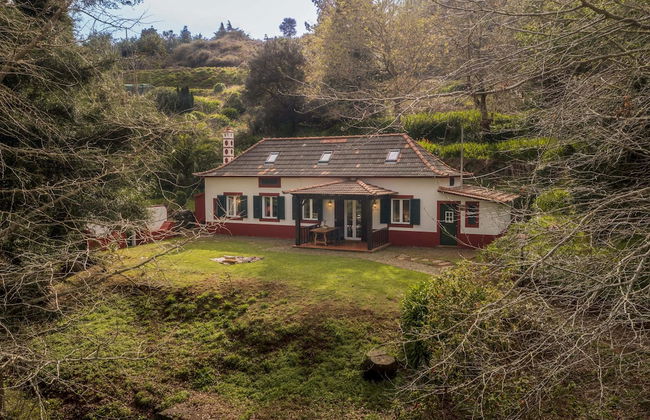 Surrounded by Nature - Casa da Cebola - Foto 33